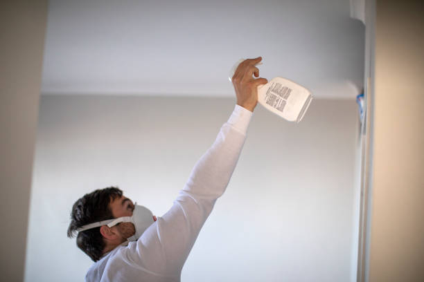 Best Post-Flood Mold Remediation in Glenwood, MN
